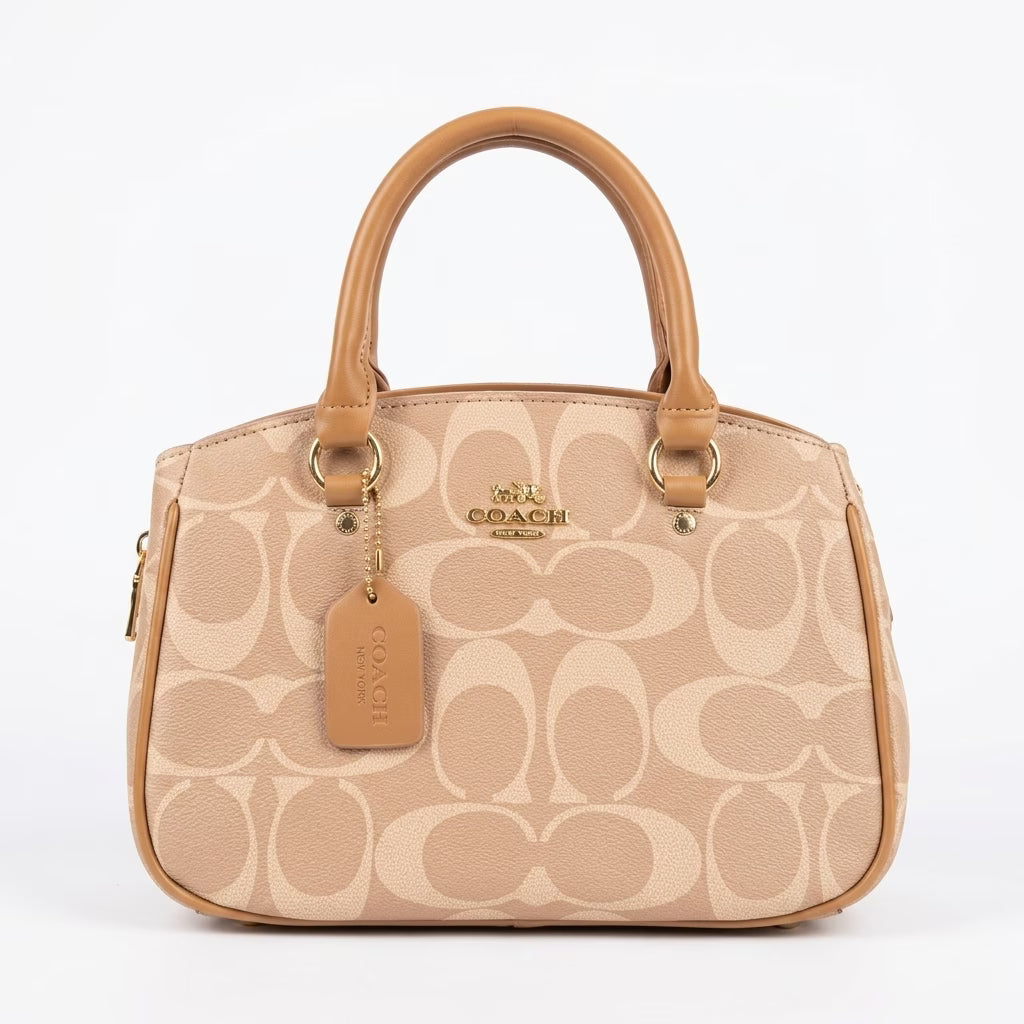 The Small Carryall Bag